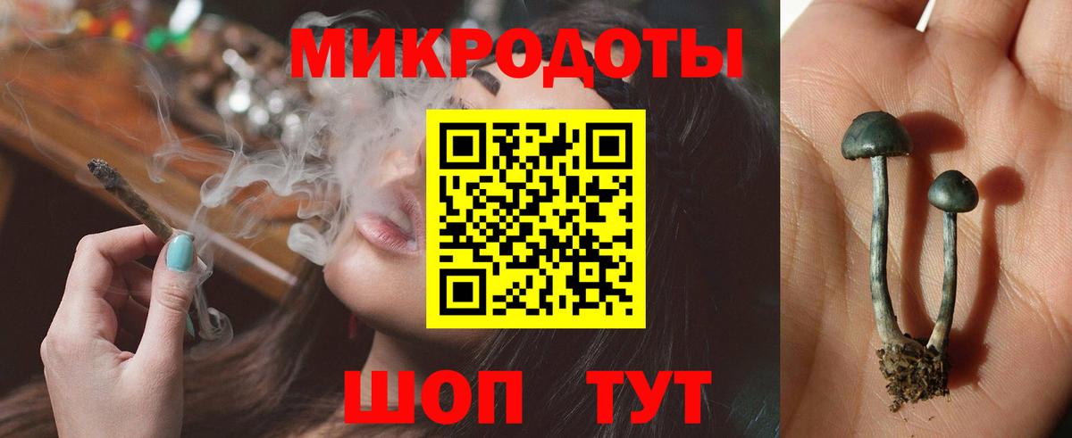 Псилоцибиновые грибы Cubensis Оренбург