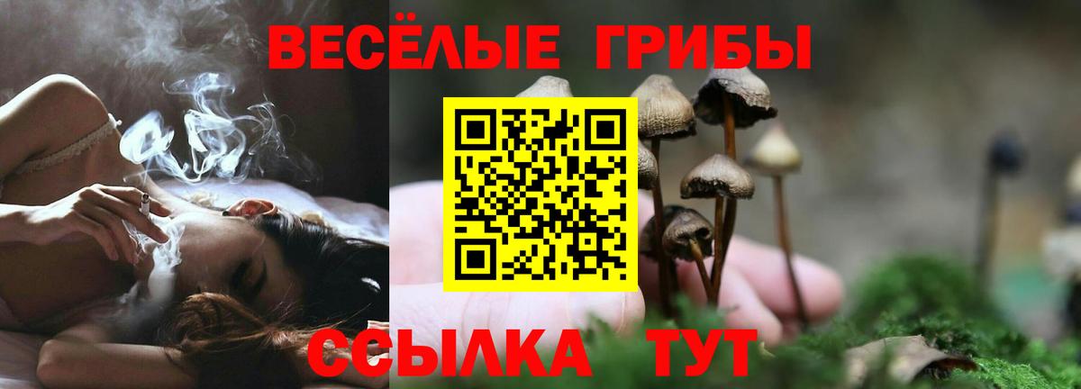 Псилоцибиновые грибы ЛСД  Вход с VPN  Оренбург 